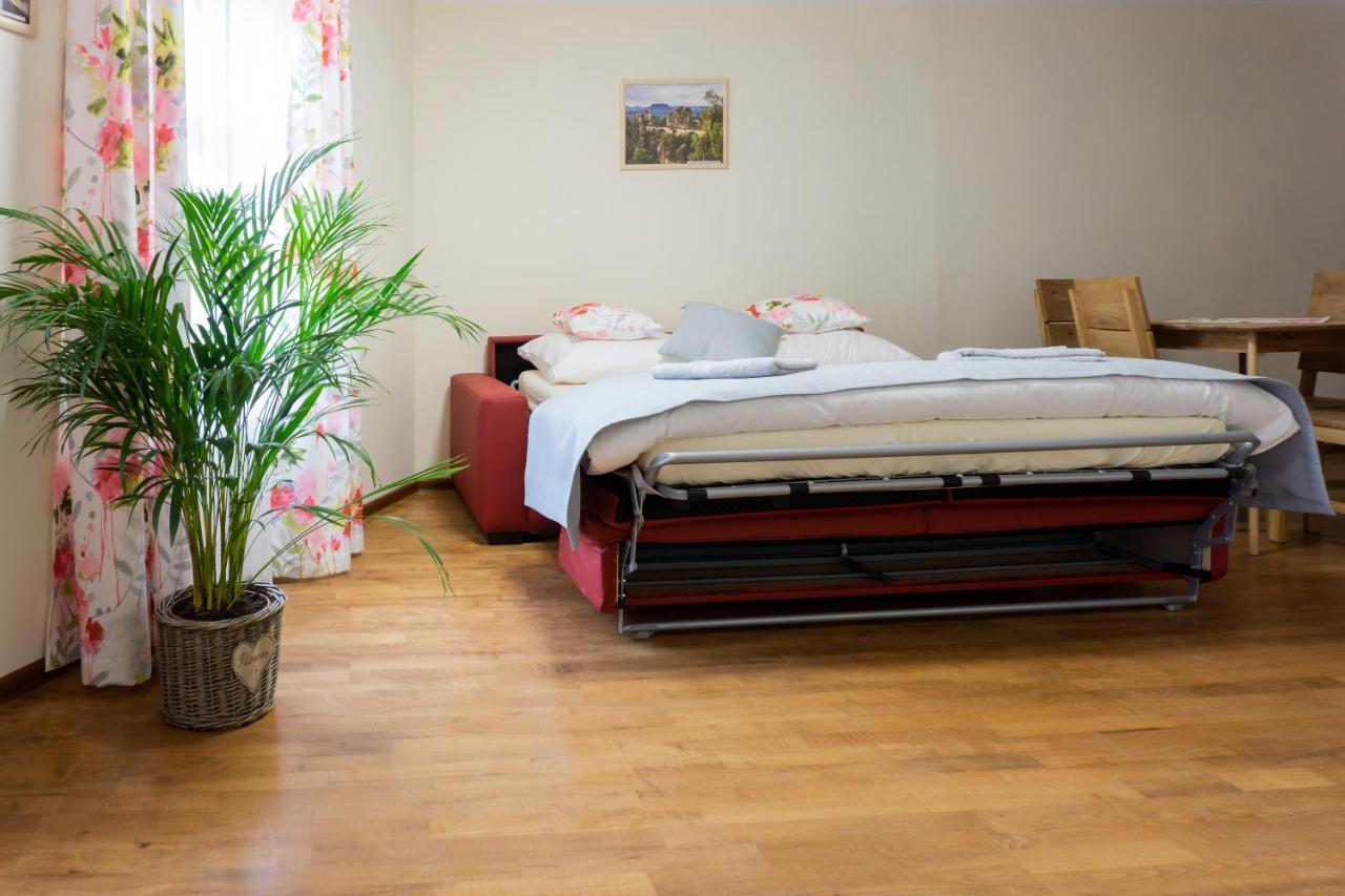Penzion Ruze Benesov nad Ploucnici エクステリア 写真